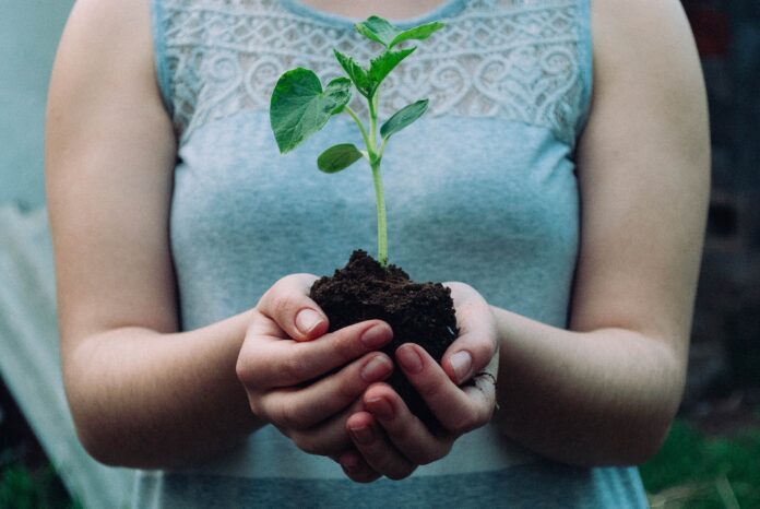 woman-holding-plant