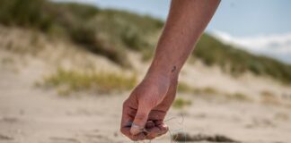 Plastic wordt opgeruimd tijdens de Beach CLeanup in Nederland © Paula Romein