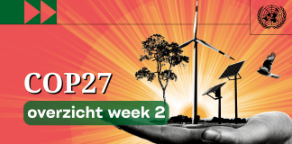 cop27