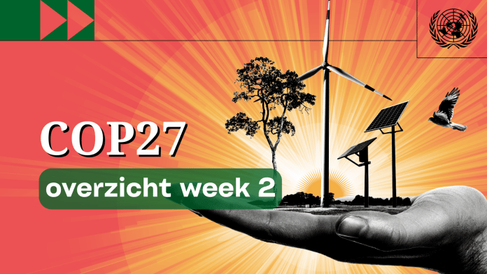 cop27