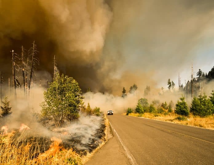 Klimaat: bosbrand afgebeeld in foto.