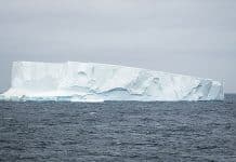 South-Shetland