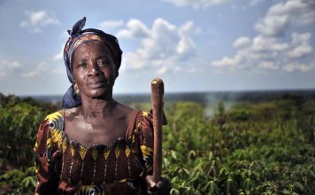 23 May 2012, Mbaiki, Central African Republic - A member of the ACDL group standing in an improved cassava field. The ACDL group of women work in post-processing of the harvested cassava into food products for sale.

FAO Project: OSRO/RAF/912/EC - Regional Cassava Initiative in support of vulnerable smallholders in eastern and central Africa. Enhanced utilization of technologies and innovations for sustainable productivity of cassava in eastern and central Africa.