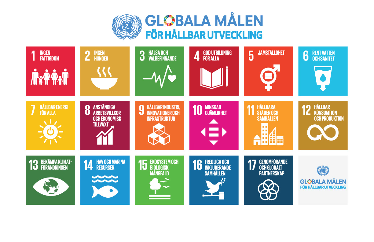 SDG poster svenska