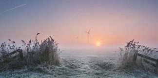 Ett fruset och dimmigt fält belyst av morgonsol där vindkraftverk som syns på långt avstånd