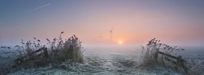 Ett fruset och dimmigt fält belyst av morgonsol där vindkraftverk som syns på långt avstånd