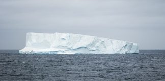 Havsyta och glaciär i bakgrunden